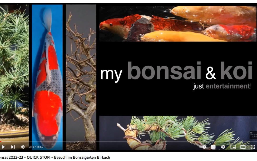 My Bonsai & Koi zu Besuch im Bonsaigarten Birkach…