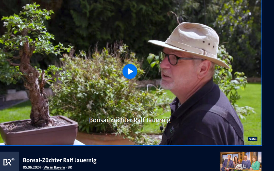 BR Fernsehn zu Besuch im Bonsaigarten